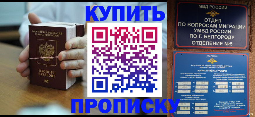 прописка для работы в Коврове